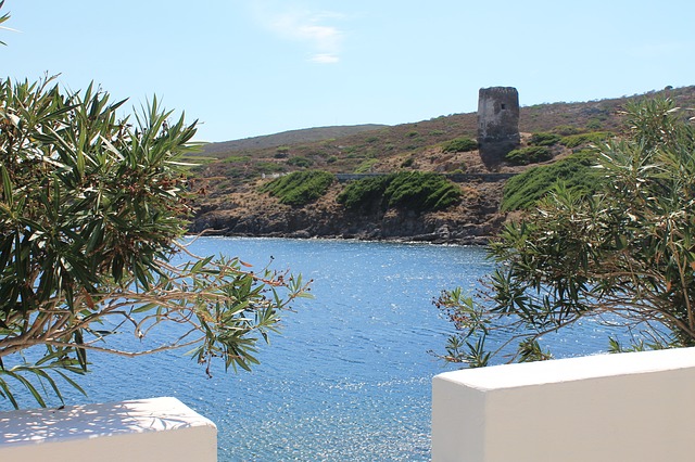 Isola dell'Asinara